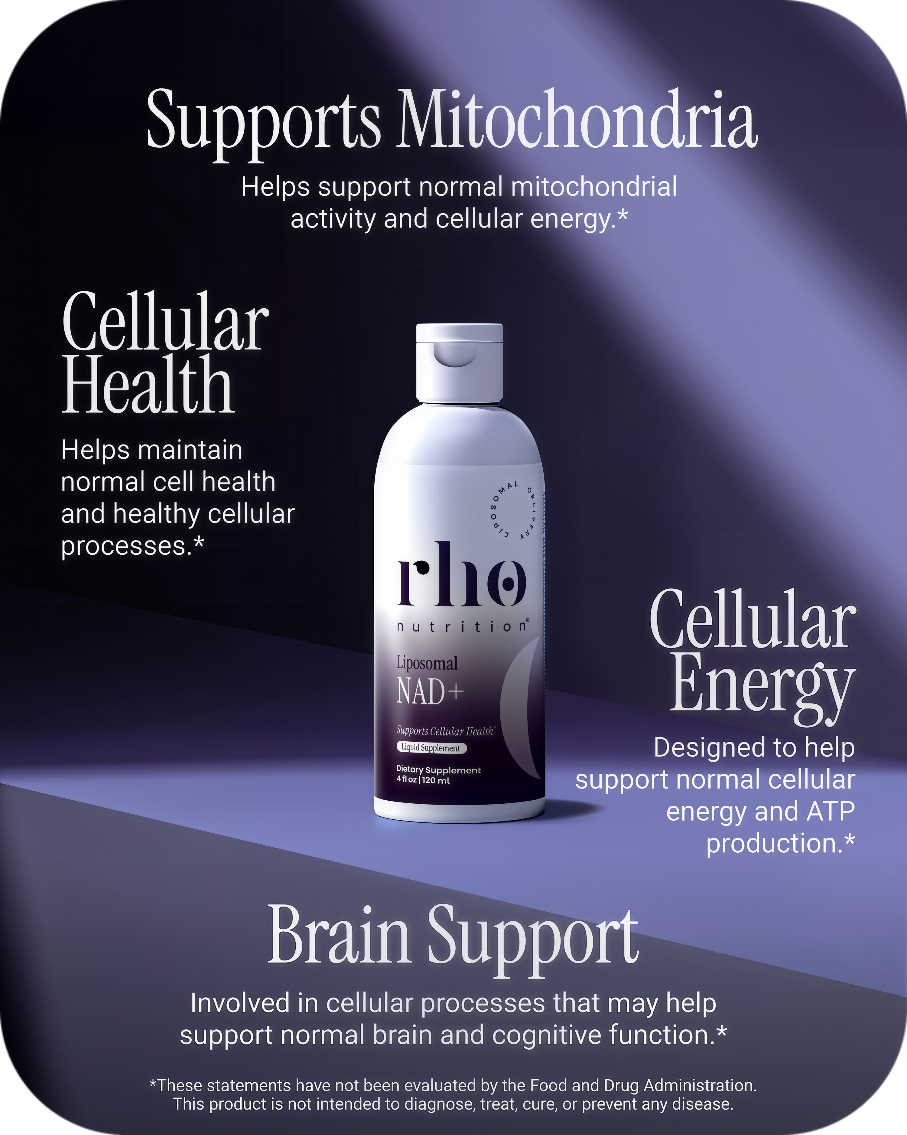 Rho Nutrition Liposomal NAD+